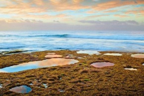 Point Roadknight with ocean and tree views Anglesea